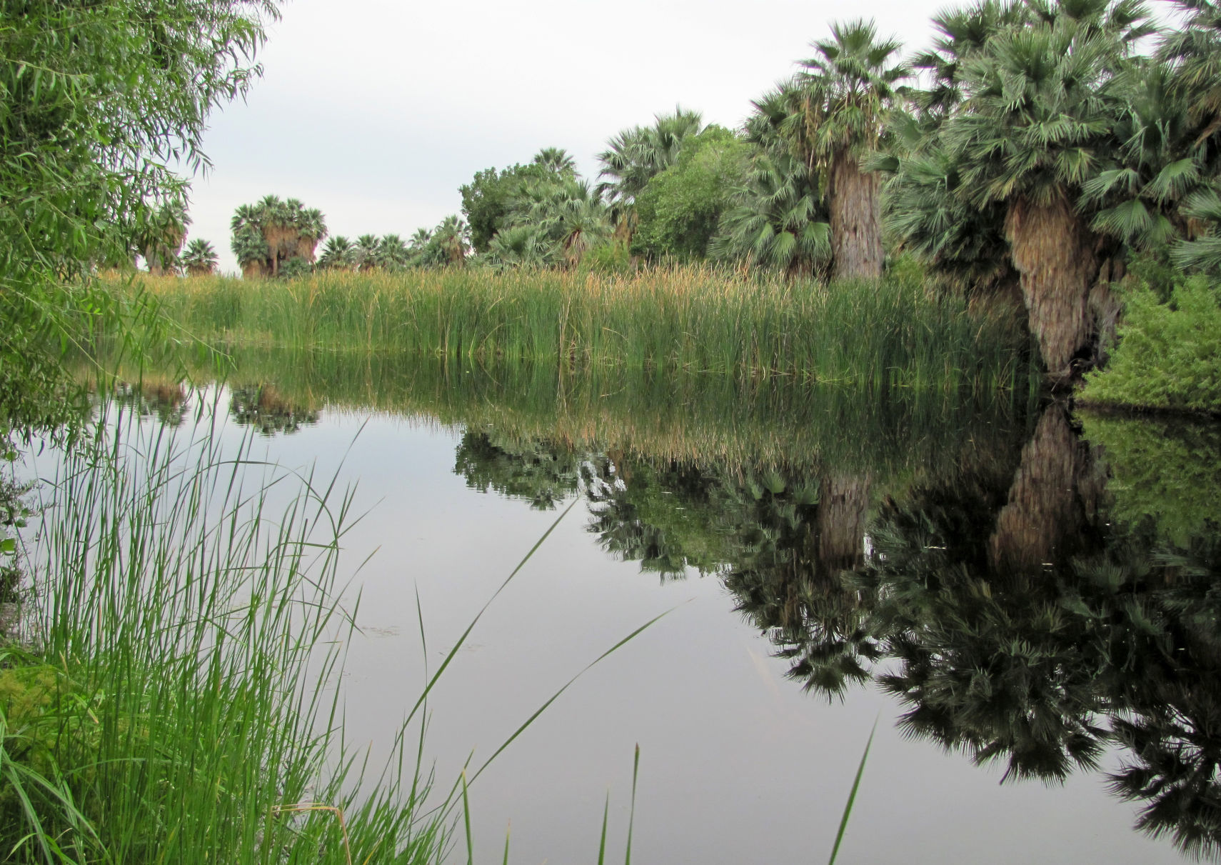May 31: Agua Caliente Park